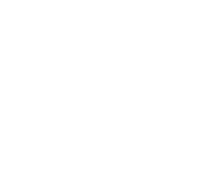 New Basket San Donà