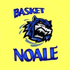 Basket Noale logo