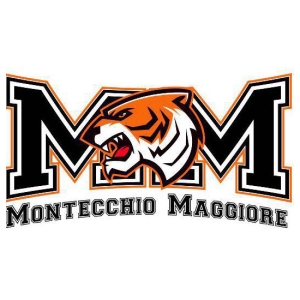 A.S.D. Pallacanestro Montecchio logo