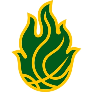 A.S.D. Pallacanestro Ponzano logo